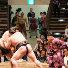 大相撲夏場所　13日目　椅子B　チケット　定価