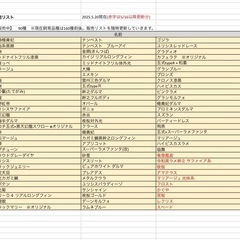 今週のSALEメダカ　ハイビスカスや朱光菊、LU-04などの画像
