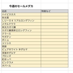 今週のSALEメダカ　ハイビスカスや朱光菊、LU-04など