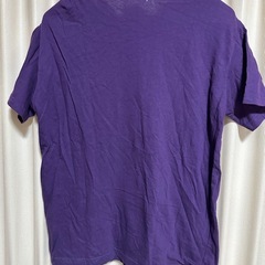 Tシャツ　カットソー　半袖Ｌ　⑩の画像