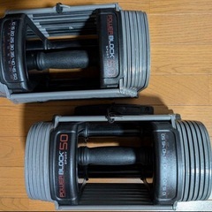POWER BLOCK パワーブロック SP50 50ポンド 2...