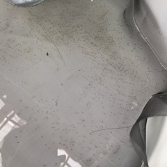 金魚【らんちゅうの卵】