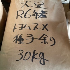大豆種子