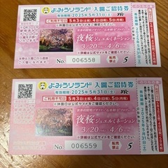 読売ランド入場券