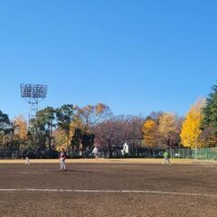 長野県内草野球の助っ人行きます