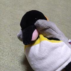 ペンギン　パペット　海遊館　ぬいぐるみの画像