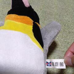 ペンギン　パペット　海遊館　ぬいぐるみの画像