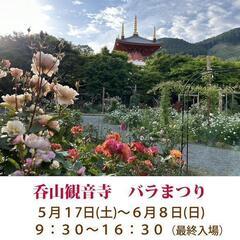 呑山観音で蚤の市