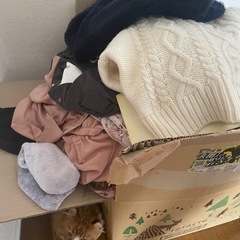 ダンボールいっぱいの洋服差し上げます