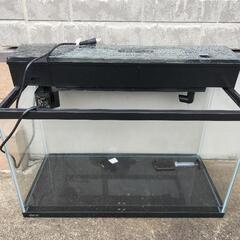 ✨早い者勝ち✨🐟60cm水槽🐟