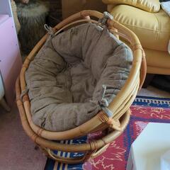 猫ちゃんワンちゃんベットの画像