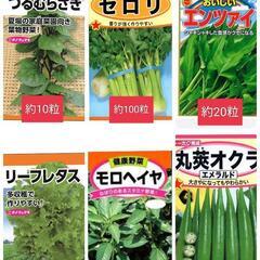 野菜 種 小分け 少量 セット 水耕栽培 ガーデニング つるむら...