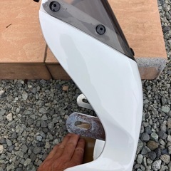 ミニカウルの画像