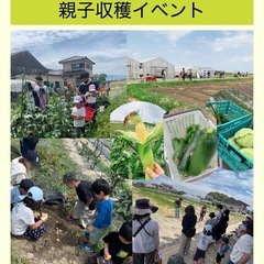 楽しい収穫イベント⭐︎