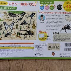 昆虫　パズルの画像