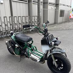 ★ホンダ　ズーマー50　★日本全国対応　★カスタムされています