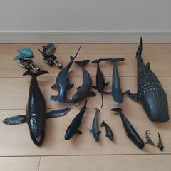 クジラ、サメなどの哺乳類フィギュアセット
