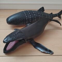 クジラ、サメなどの哺乳類フィギュアセットの画像