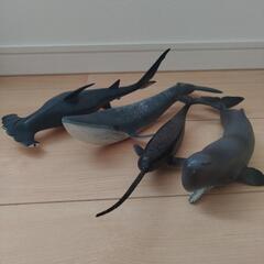 クジラ、サメなどの哺乳類フィギュアセットの画像