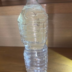 メダカの生き餌　ゾウリムシの画像