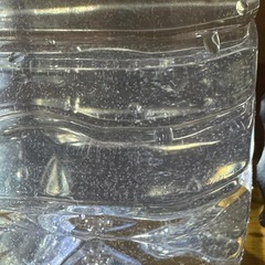 メダカの生き餌　ゾウリムシの画像