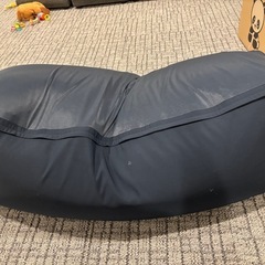 無印良品　人をダメにするクッションの画像