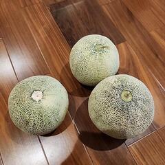【お話し中】メロン　三個　の画像