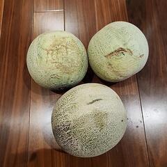 【お話し中】メロン　三個　の画像