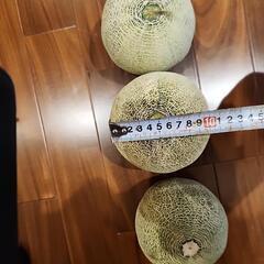 【お話し中】メロン　三個　の画像
