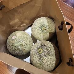 【お話し中】メロン　三個　