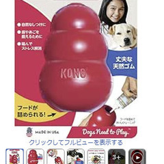 【犬お迎えセット】の画像