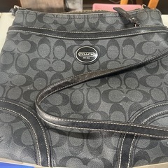 バック（coach）の画像