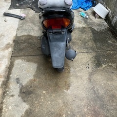 ホンダdioの画像