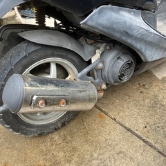 ホンダdioの画像