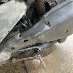 ホンダdioの画像
