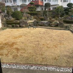 綺麗な６ＬＤＫ戸建て。広々とした庭付きで、二世帯や大家族にも最適。静かな環境と利便性を兼ね備えた快適な住まいです！母屋と平屋 - 不動産