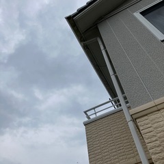 雨樋修理
