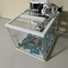 ミニ水槽セット