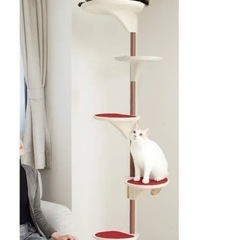 猫タワー　キャットポールの画像