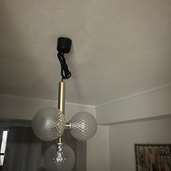 Pendant Light | ペンダントライト Ps-29の画像