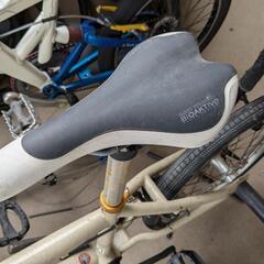 【断捨離】Specialized BMXの画像