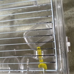 ハムスターセットの画像