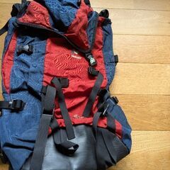 バックパック2つ無料で差し上げます