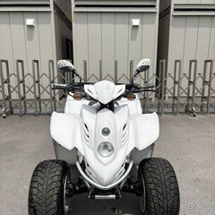 ★DINLI 四輪 バギー 50cc ミニカー KWX501 ★日本全国対応の画像