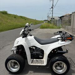 ★DINLI 四輪 バギー 50cc ミニカー KWX501 ★日本全国対応の画像