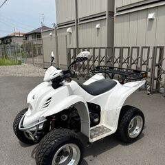★DINLI 四輪 バギー 50cc ミニカー KWX501 ★日本全国対応の画像