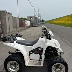 ★DINLI 四輪 バギー 50cc ミニカー KWX501 ★日本全国対応の画像