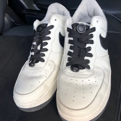 NIKE the North faceスニーカーの画像