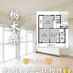 栃木県那須烏山市　初期費用ゼロ　家賃38000円　生活保護…