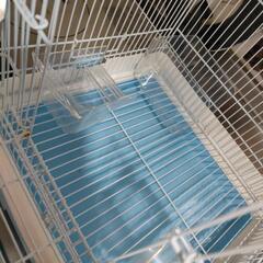 鳥かごの画像